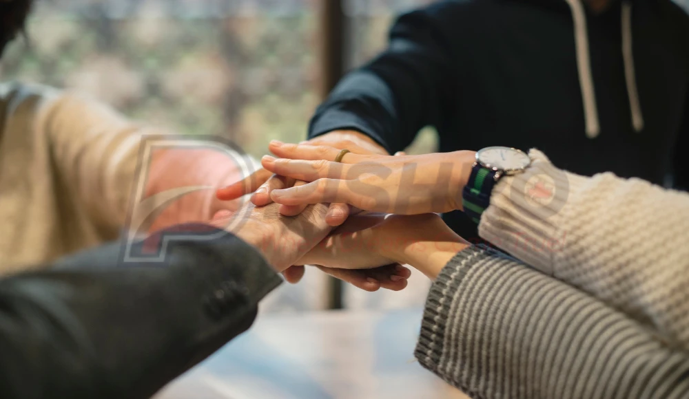 تحلیل استراتژی‌های موفق در پرونده‌های H&C